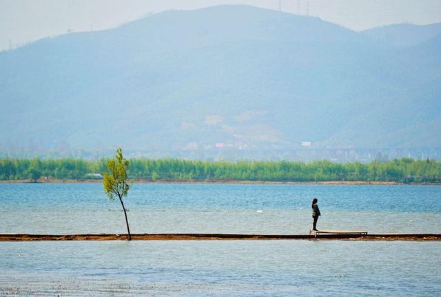 励志的乌鸦■极简，才是人生最高境界的加法