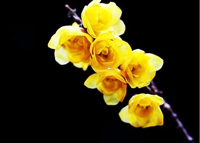 感悟哲理美文■学会感恩，人生才能更圆满