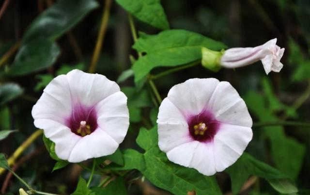 感悟哲理美文■学会感恩，人生才能更圆满