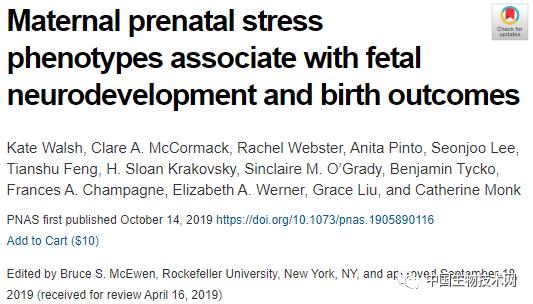 产前压力会影响胎儿性别和早产风险