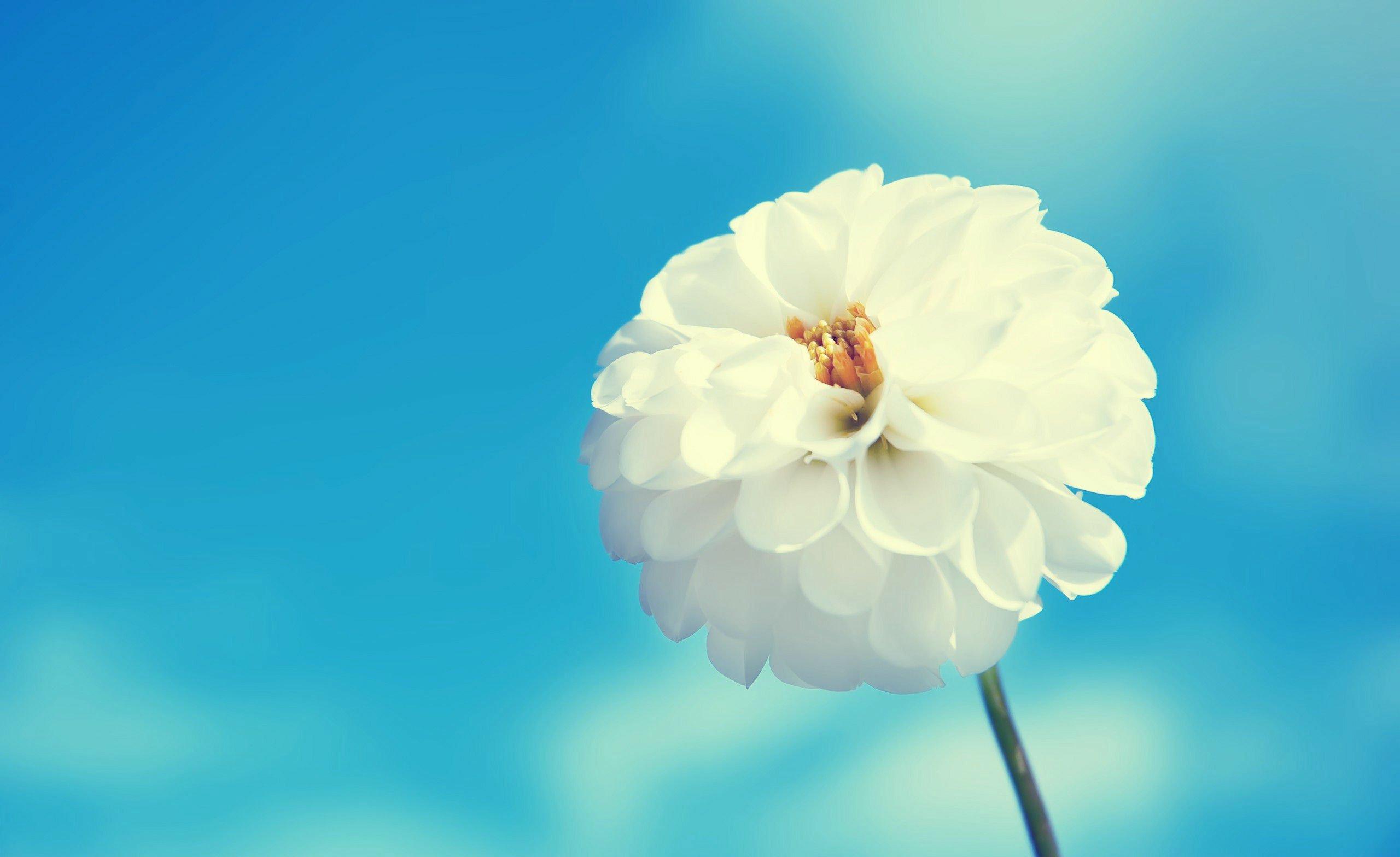 「金乡县电视台」深度好文：明智的3句话，每句话都能点亮你的人生