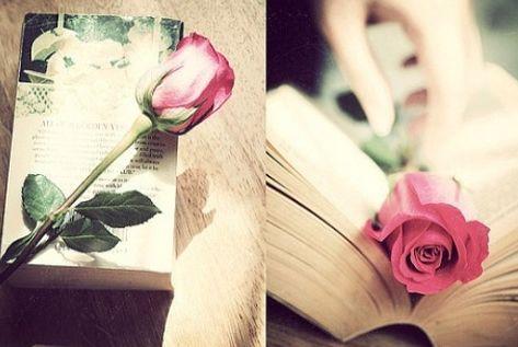 「读史」最美好的味道是家常的，最安定的生活是淡泊的