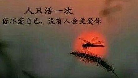 「读史」最美好的味道是家常的，最安定的生活是淡泊的