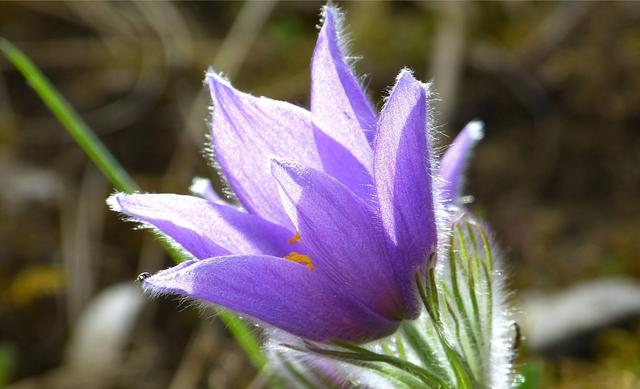 [心理观察家]生活有苦有甜，才叫完整