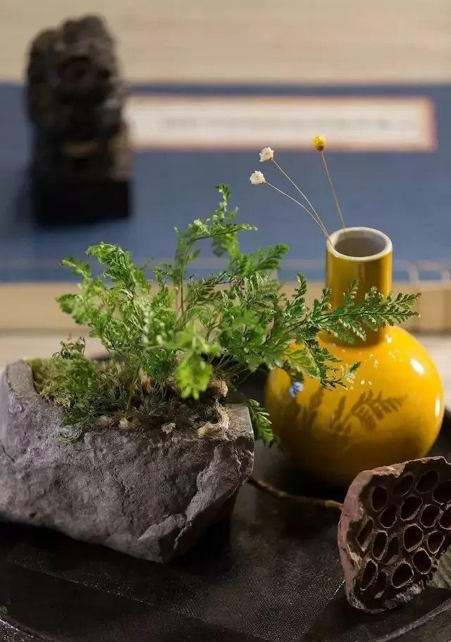 「心理观察家」人生：八贵，八美，八喜，八宝