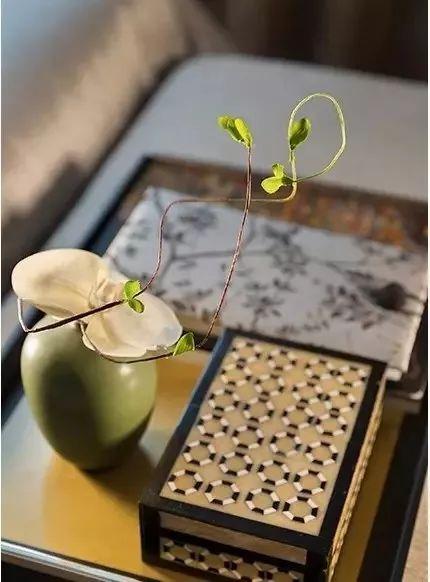 「心理观察家」人生：八贵，八美，八喜，八宝