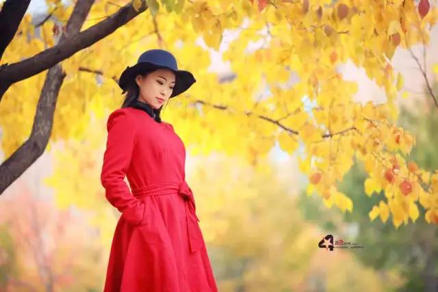 [品读时刻TB]人生若只如初见，孤独又何谈