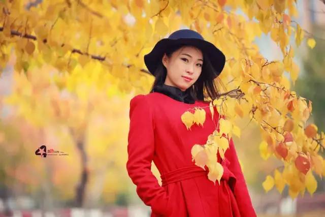 [品读时刻TB]人生若只如初见，孤独又何谈