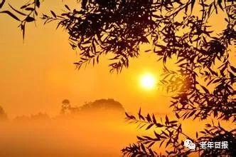 【老年日报】一篇惊醒百万中老年人的深度好文，不看亏大了