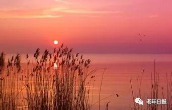 【老年日报】一篇惊醒百万中老年人的深度好文，不看亏大了