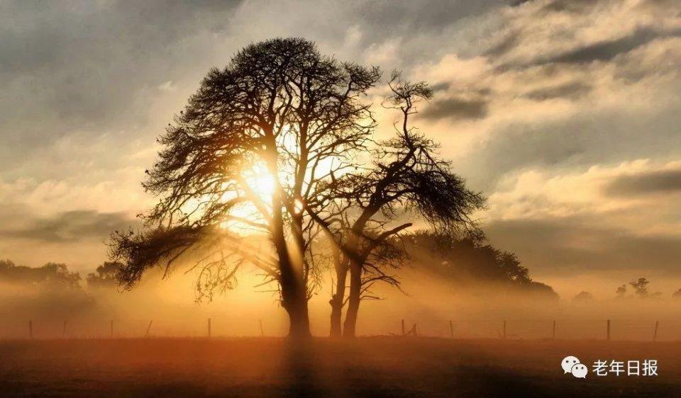 【老年日报】一篇惊醒百万中老年人的深度好文，不看亏大了