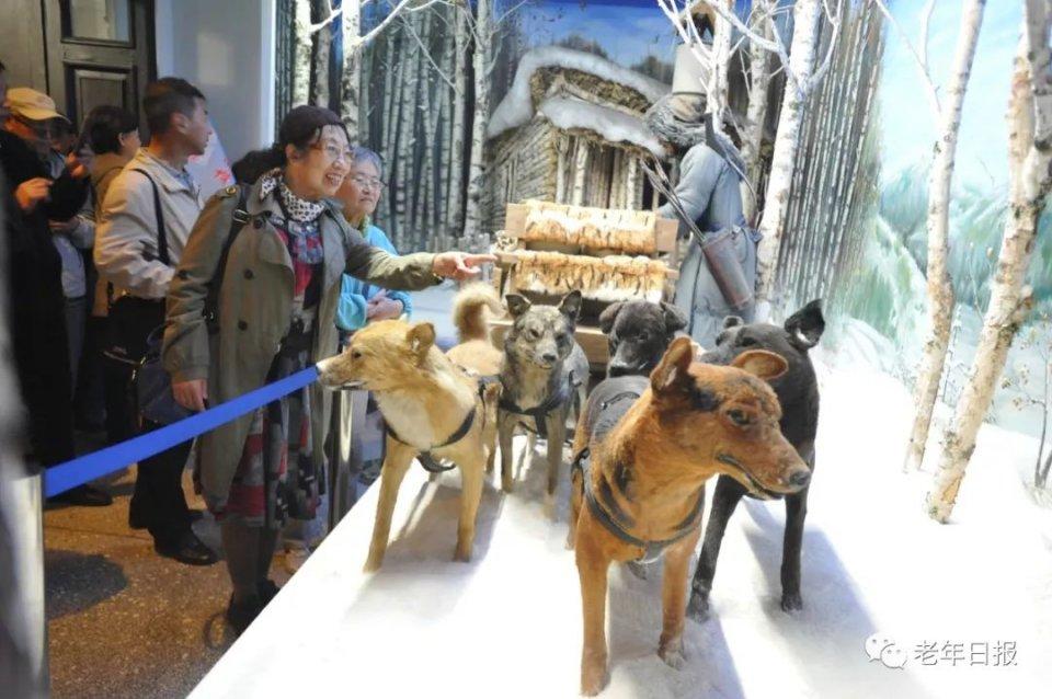 【老年日报】一篇惊醒百万中老年人的深度好文，不看亏大了