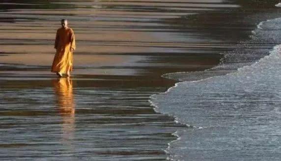 #品读时刻TB#愿有一人懂你的苦，愿有一人疼你入骨