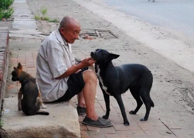 「浅浅情感说」孩子，对不起，我生了治不好的病，不想再拖累你们