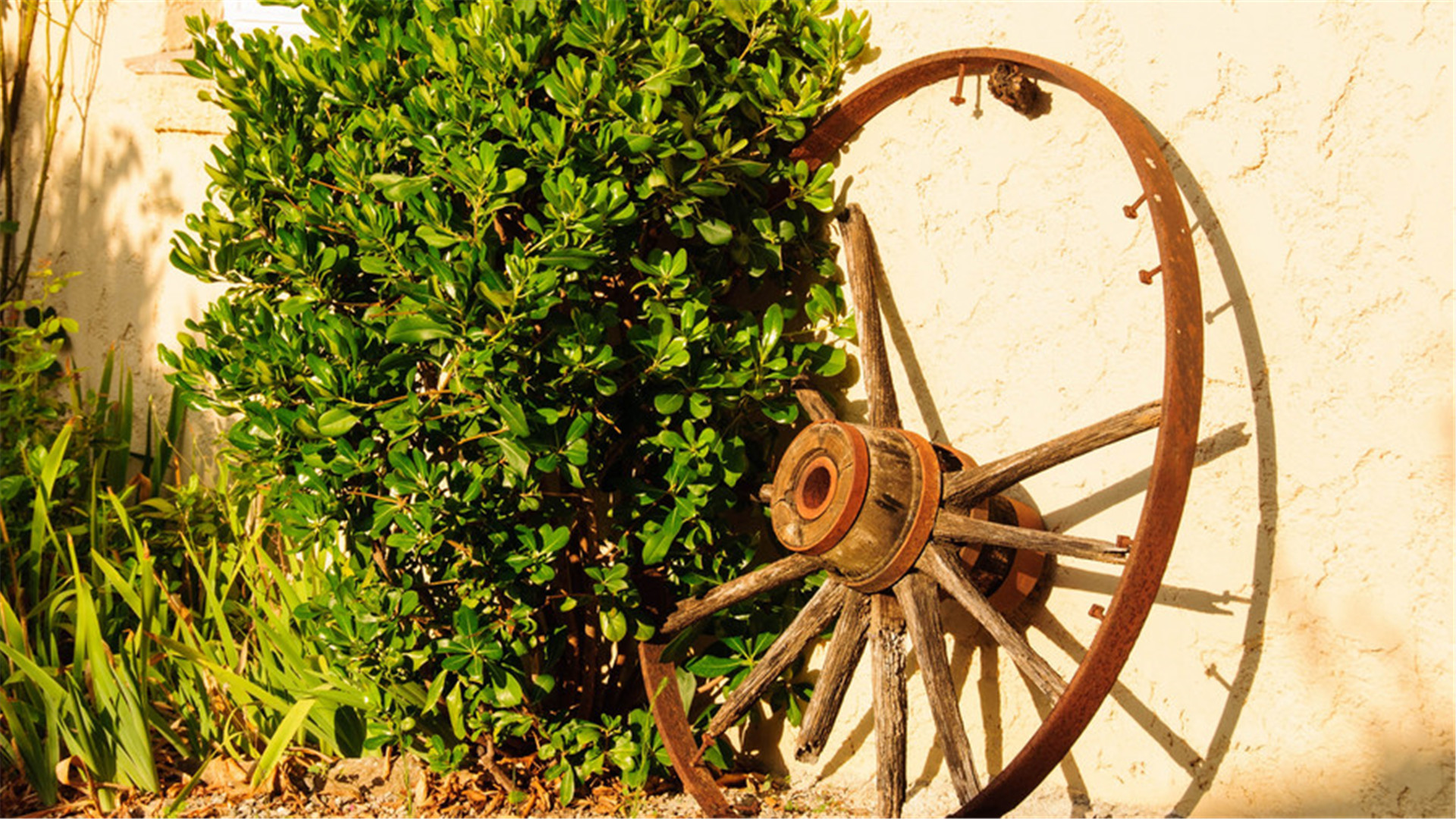 #桃小菁#痛苦不会长存，熬过去，幸福就来了