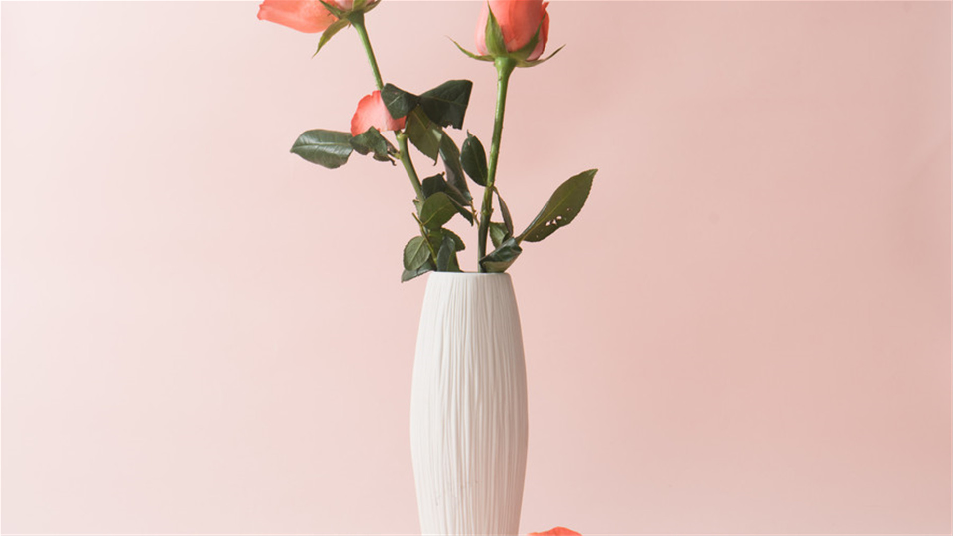 #桃小菁#痛苦不会长存，熬过去，幸福就来了