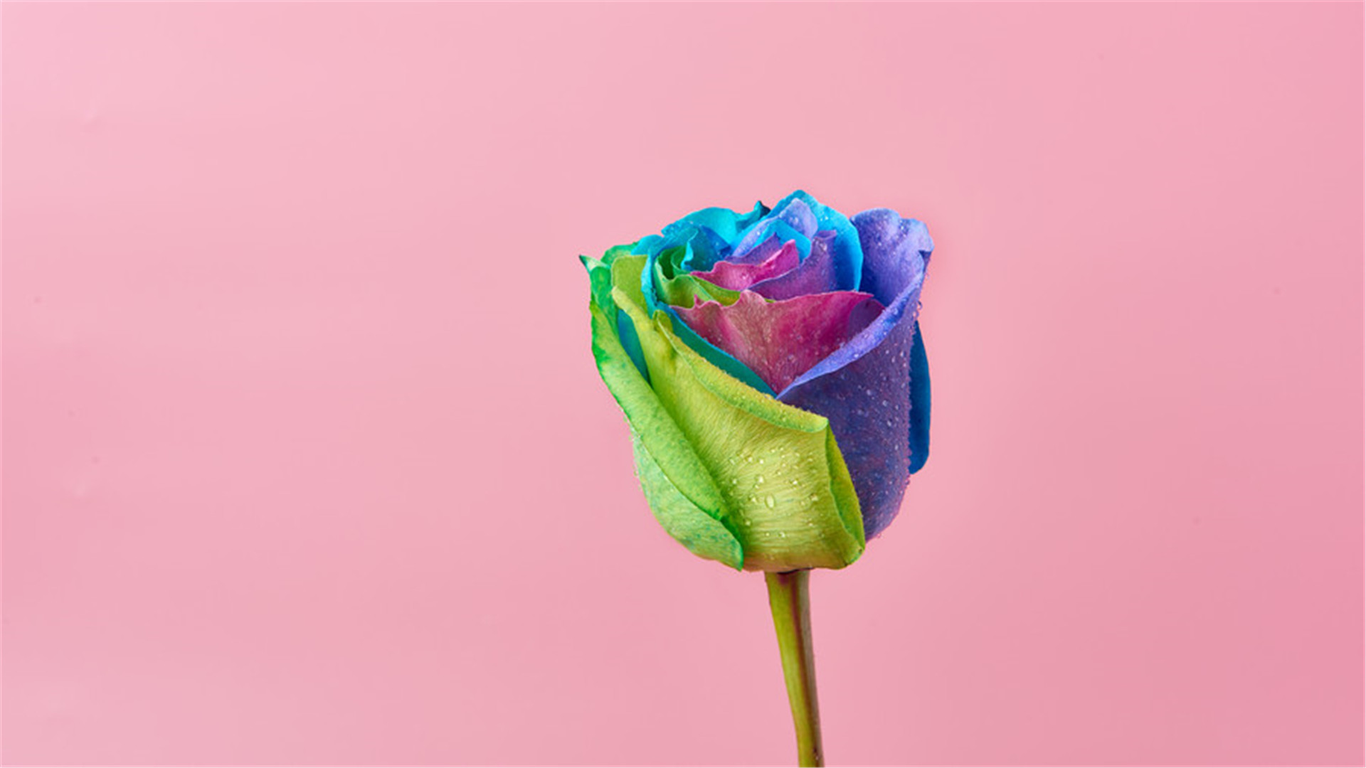 #桃小菁#痛苦不会长存，熬过去，幸福就来了