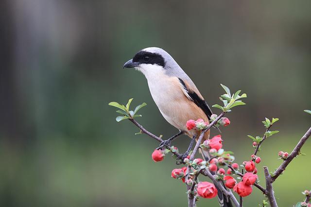 「和煦心雨」人生不易，放过自己