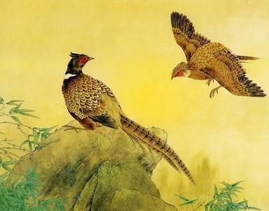 「和煦心雨」人生不易，放过自己