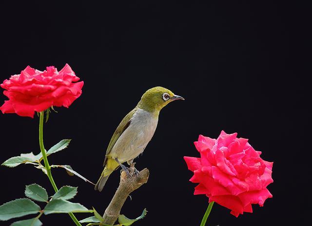 「和煦心雨」人生不易，放过自己