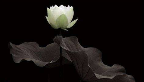 易县电视台：心善之人，万不可对三件事“仁慈”，害的是自己