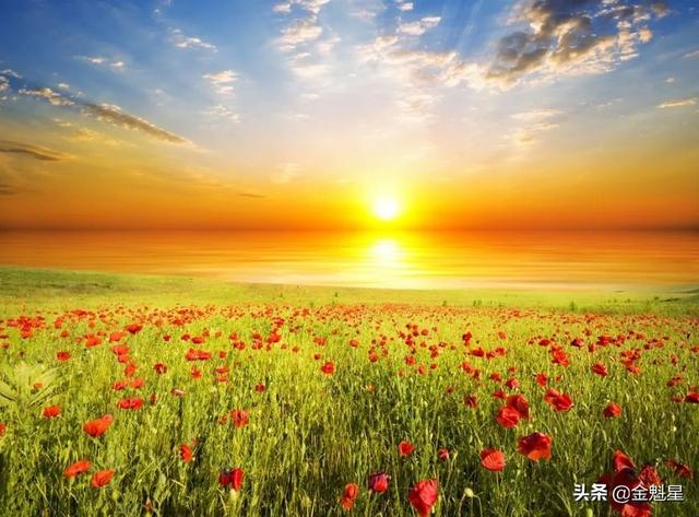 「老蒋书房」知足是生活，来去是人生！