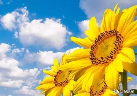 「老蒋书房」知足是生活，来去是人生！