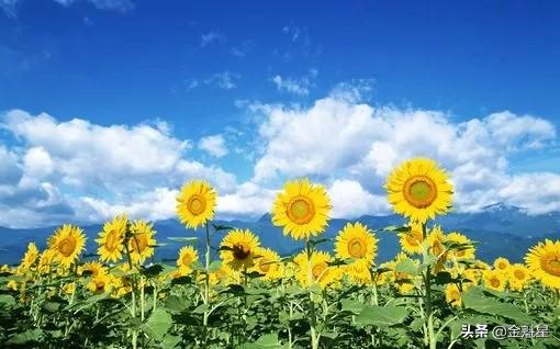 「老蒋书房」知足是生活，来去是人生！