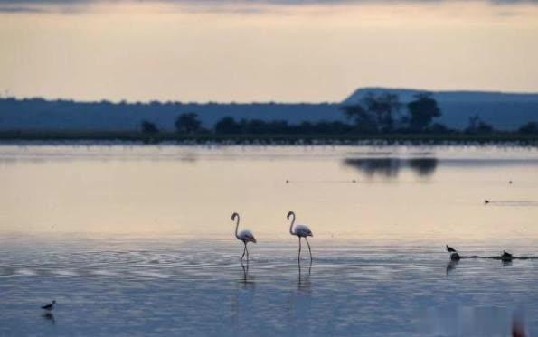 芊芊风华■平静，人生最好的境界