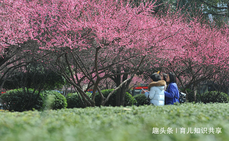 [育儿知识共享]日子最苦的3个生肖，一生都在操心，子女不给一分钱