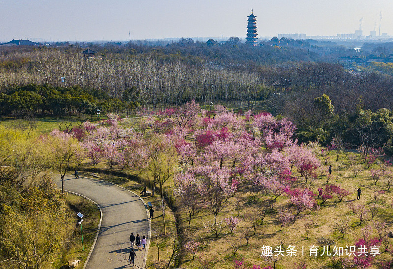 [育儿知识共享]日子最苦的3个生肖，一生都在操心，子女不给一分钱