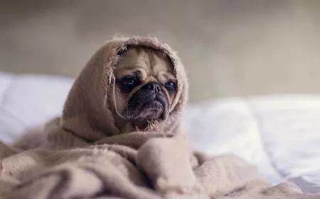 [华云头条]你是否陷入了完美主义型焦虑?