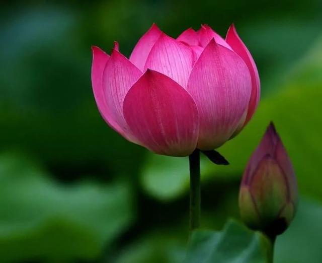 #女子健身#人生如花朵，春夏秋冬都有不同的花期