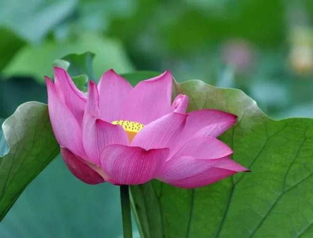 #女子健身#人生如花朵，春夏秋冬都有不同的花期