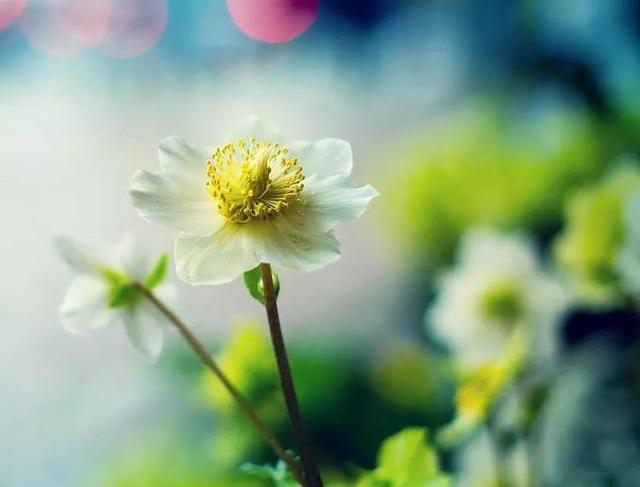 #女子健身#人生如花朵，春夏秋冬都有不同的花期