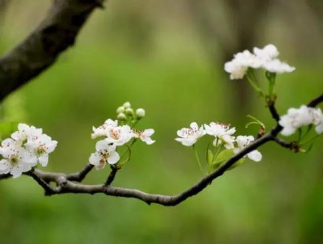 「街角&祝福」不说硬话，不做软事；菩萨心肠，霹雳手段