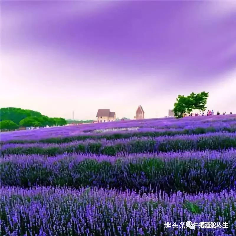 「牛哥谈人生」繁华只是过眼云烟，唯有宁静方能致远。