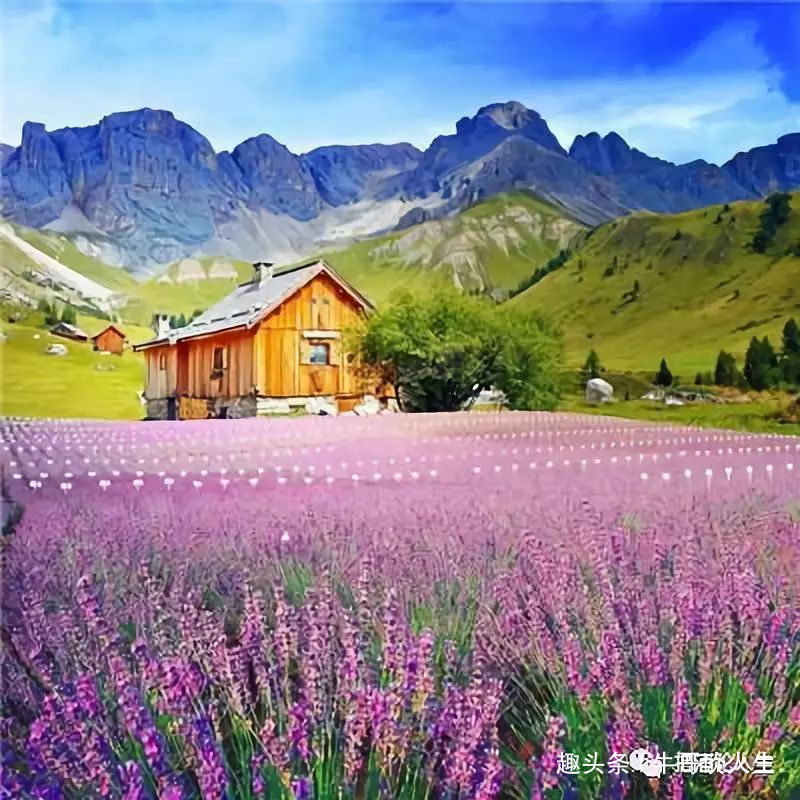 「牛哥谈人生」繁华只是过眼云烟，唯有宁静方能致远。