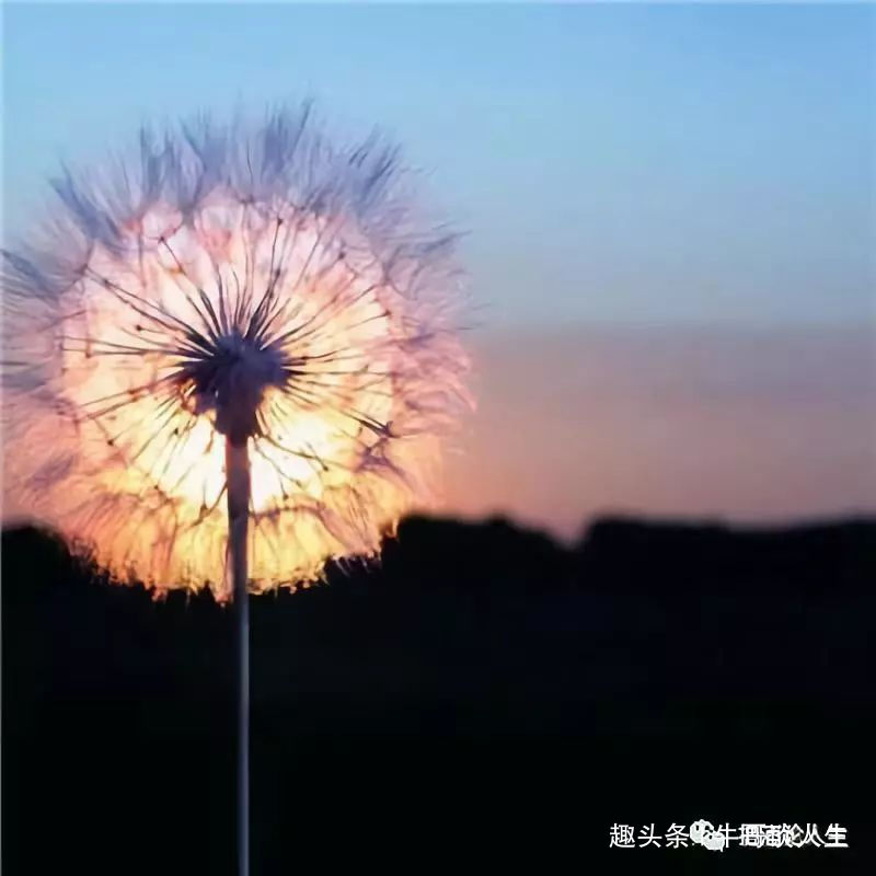 「牛哥谈人生」繁华只是过眼云烟，唯有宁静方能致远。