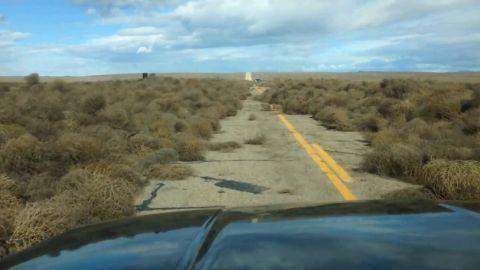 [华云头条]世界杀伤力最强的草 能毒死牛羊撞翻汽车