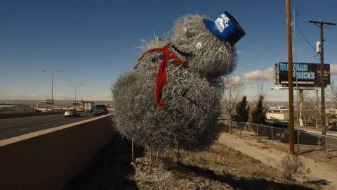 [华云头条]世界杀伤力最强的草 能毒死牛羊撞翻汽车