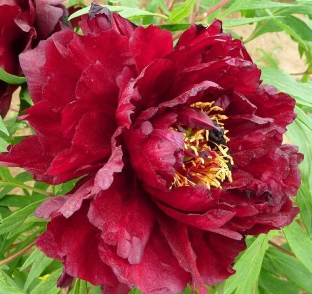 「小路音乐吧」让人一读再读的人生感悟短语，犀利直白，深入人心