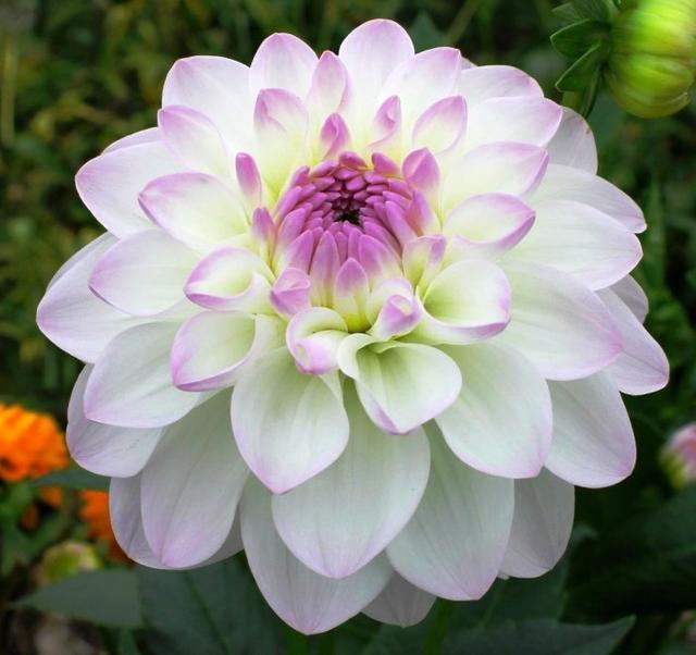 「小路音乐吧」让人一读再读的人生感悟短语，犀利直白，深入人心