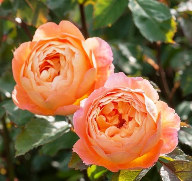 「小路音乐吧」让人一读再读的人生感悟短语，犀利直白，深入人心