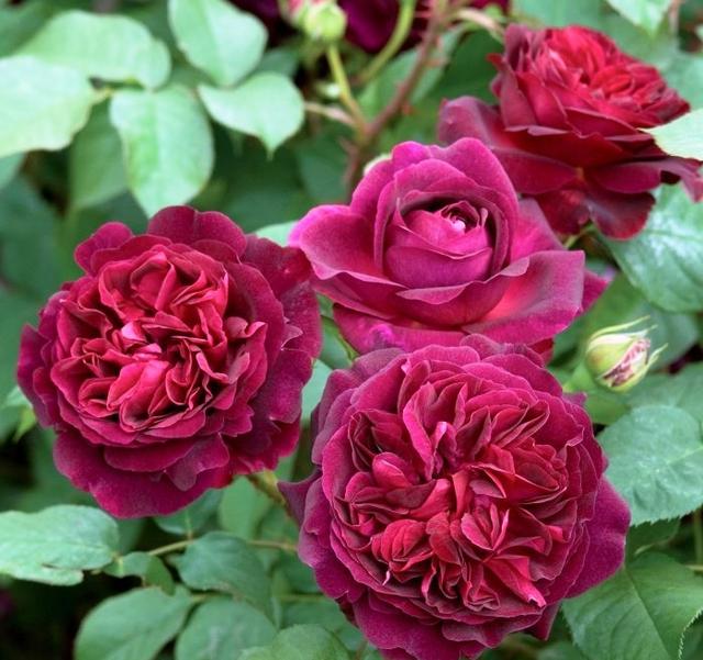 「小路音乐吧」让人一读再读的人生感悟短语，犀利直白，深入人心