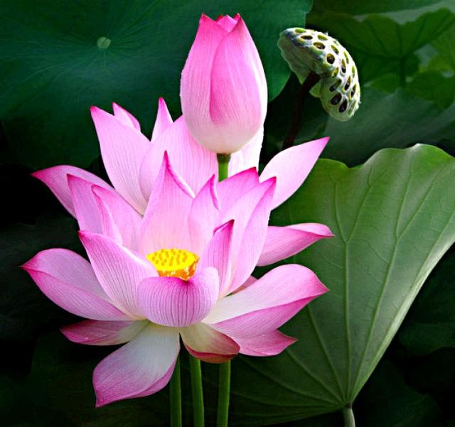 「小路音乐吧」让人一读再读的人生感悟短语，犀利直白，深入人心