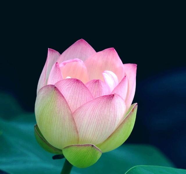 「小路音乐吧」让人一读再读的人生感悟短语，犀利直白，深入人心