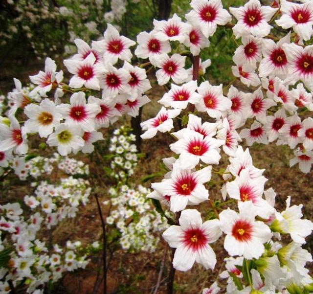 「小路音乐吧」让人一读再读的人生感悟短语，犀利直白，深入人心