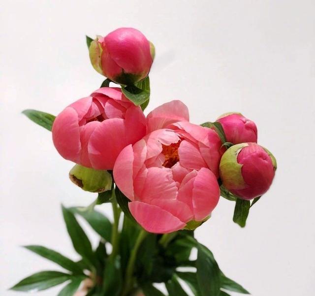 「小路音乐吧」让人一读再读的人生感悟短语，犀利直白，深入人心