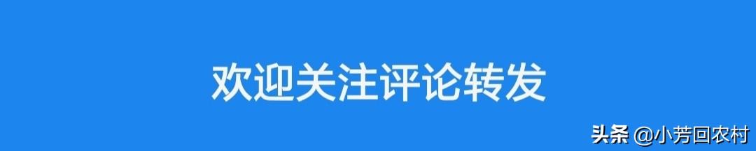 【梵心人生】你有你的烦，我有我的难，人人都有无声的泪，人人都有难言的苦